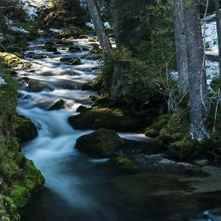 Alpenchalet - Fontain